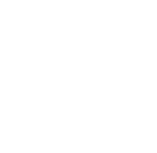 Michel Immobilien Service